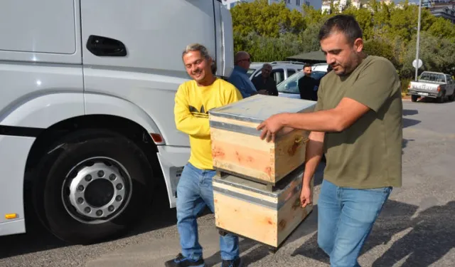 Antalya Büyükşehir'den bal üreticilerine arı kovanı