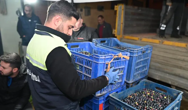 Bursa Gemlik Belediyesi'nden üreticiye destek