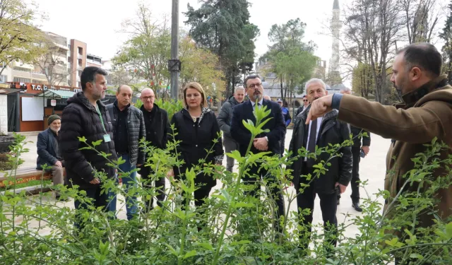 Yeni Cuma Parkı yaz aylarında botanik bahçesine dönüşecek