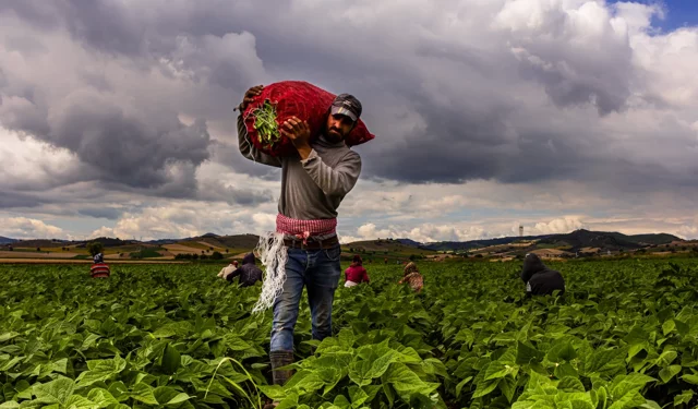 Bursa Yenişehir'de tarımı geliştiren, sanayi ve ticareti büyüten anlayış hakim