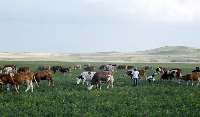 Kars Ani'de meralar yasaklandı mı? Açıklama geldi