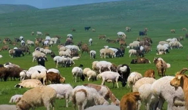 Kırsalda Bereket başvurularında son gün 30 Nisan