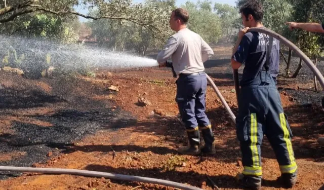 Büyükşehir İtfaiyesi Antalya'da Orman yangınlarıyla mücadele ediyor!