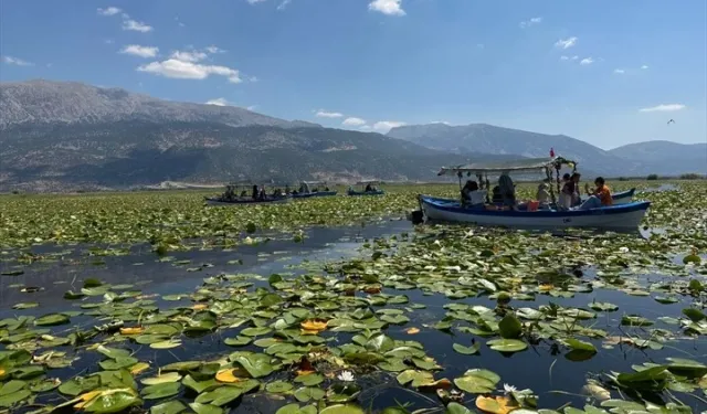 Okuma yazma öğrenen kadınlar keşif yolculuğunda