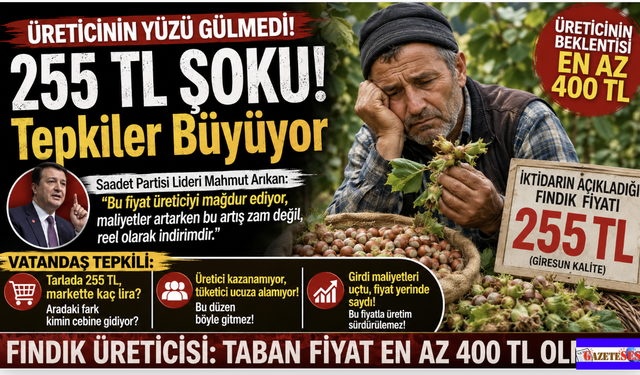 Fındıkta 255 TL Şoku! Üretici 'En Az 400 TL' diyor; Vatandaş tepkili...
