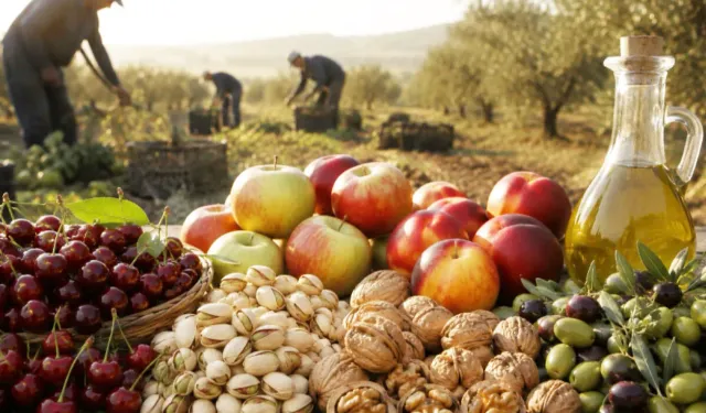 2026'da zeytin ve meyve üretiminde büyük artış bekleniyor