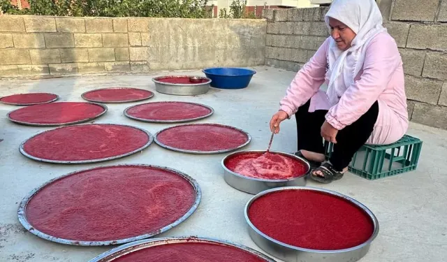 Adıyaman'da kış hazırlıkları hızlandı... Damlarda salça mesaisi başladı