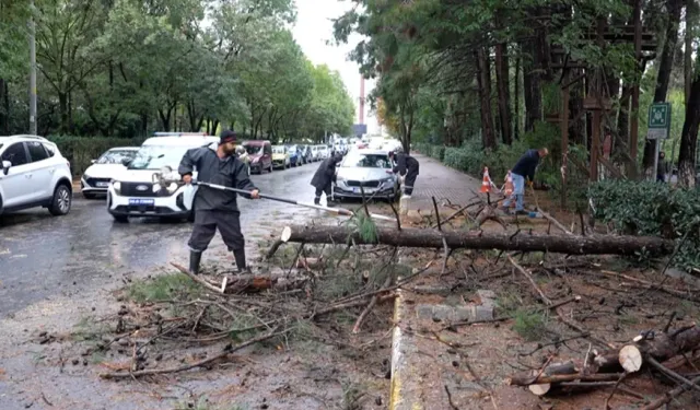 Beylikdüzü'nde yoğun yağış öncesi seferberlik