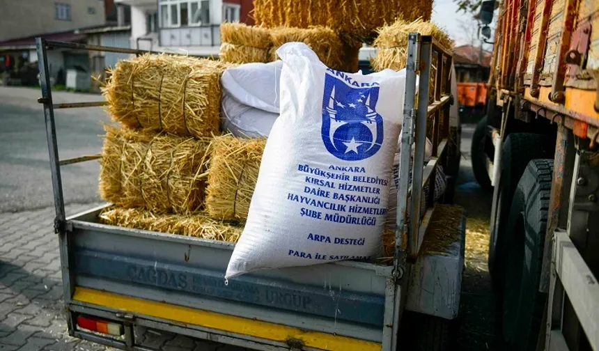 ABB'nin kırsal kalkınma destekleri sürüyor