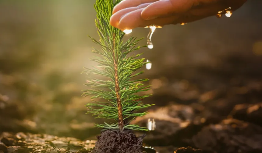 İzocam, 60. Yıl Hatıra Ormanı'nı oluşturuyor