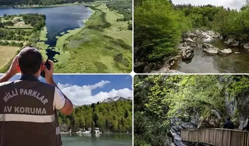 Doğa Koruma ve Milli Parklar Uzmanlığı için 'tez' zorunluluğu