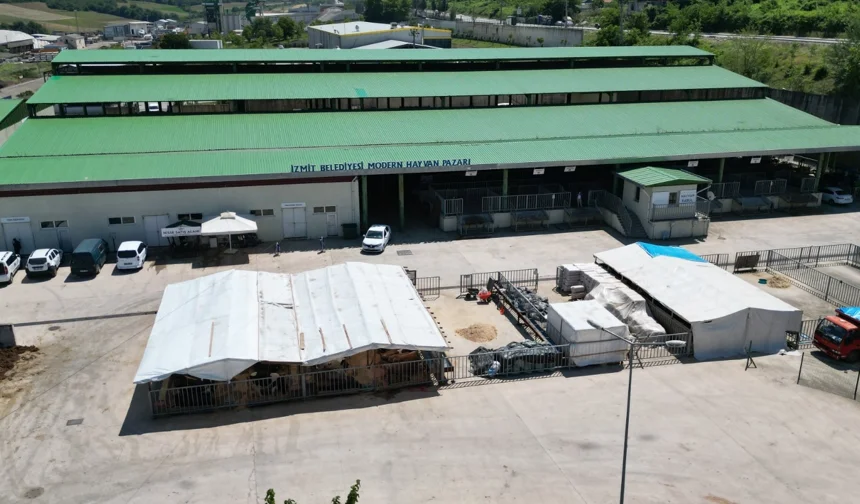 Kurban Bayramı öncesi alanlar tahsis ediliyor