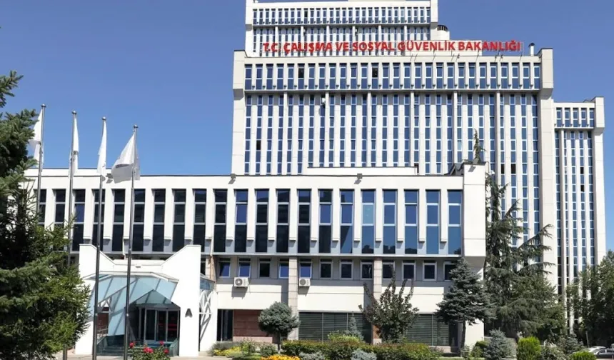 Bazı kamu kurumlarının hizmet kolları yeniden belirlendi