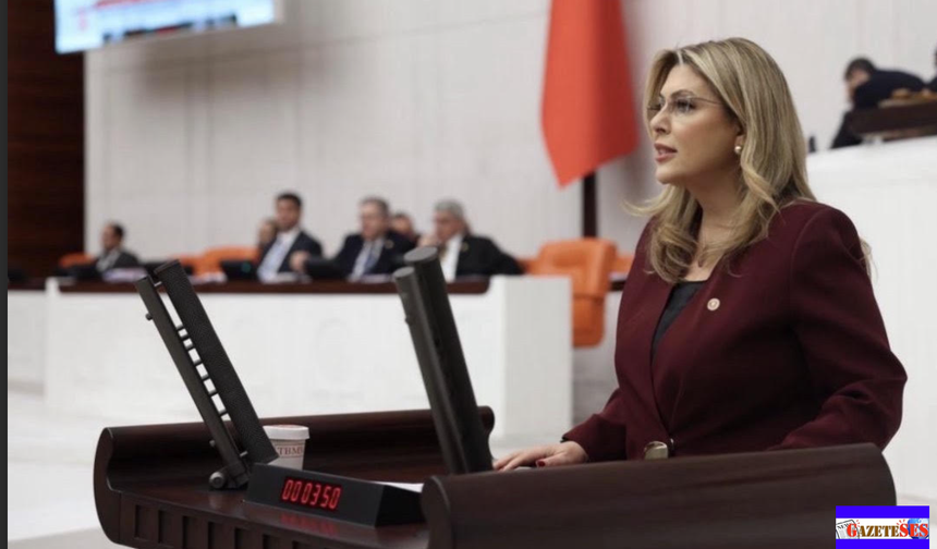 Giresun Milletvekili Gezmiş'ten TBMM'de Eğitim çıkışı!