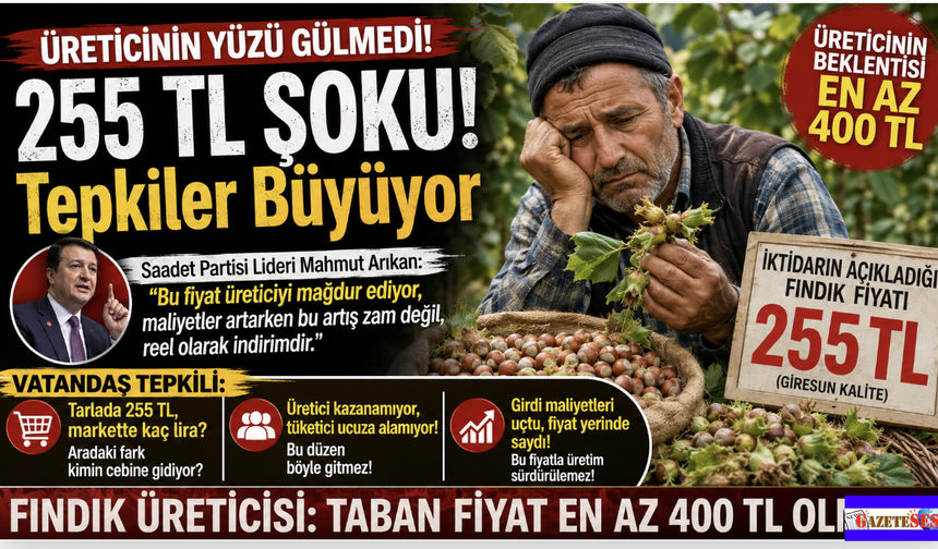 Fındıkta 255 TL Şoku! Üretici 'En Az 400 TL' diyor; Vatandaş tepkili...