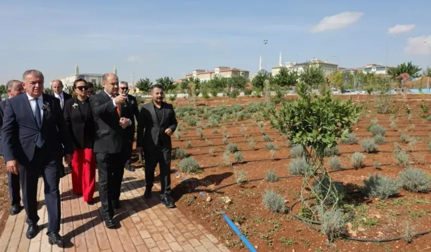 Şanlıurfa ile Pitești arasında dostluk fidanları toprakla buluştu