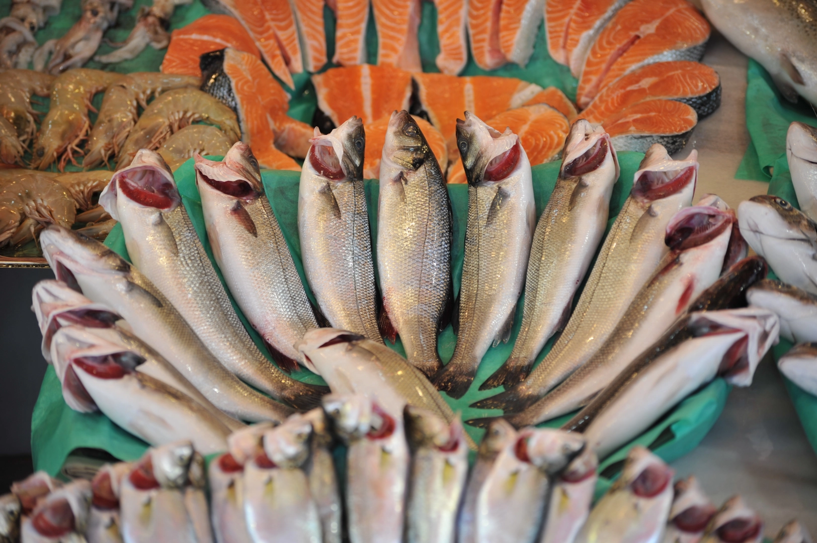 Su ürünleri sektörü Future Fish Eurasia'da buluşuyor